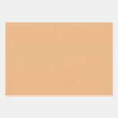 Pastel Pink Orange Green Wrapping Paper Sheets ラッピングペーパーシート (正面2)