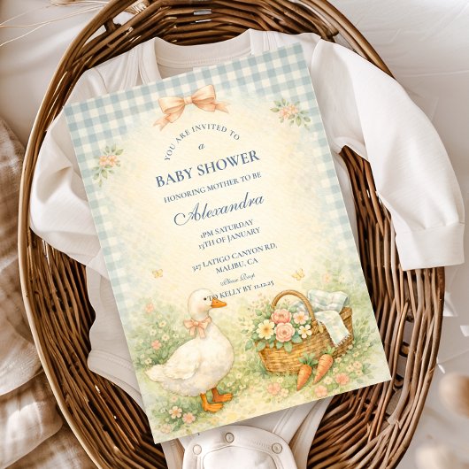 Pastel Silly Goose Farm Baby Shower 招待状