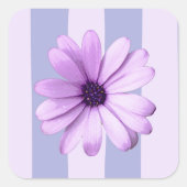 Pastel stripes pattern with Daisies スクエアシール (正面)