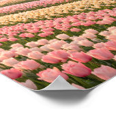 Pastel Tulip Fields Poster - Spring Flower ポスター (角)