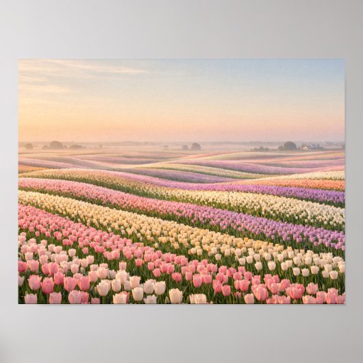 Pastel Tulip Fields Poster - Spring Flower ポスター (正面)