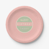 Pastel Vinyl Record Birthday Paper Plates ペーパープレート (正面)