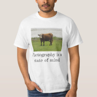 Pasture Mood - 牛の写真Tシャツ Tシャツ