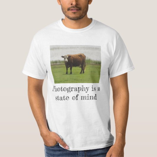 Pasture Mood - 牛の写真Tシャツ Tシャツ (正面)