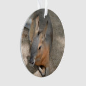 patagonian cavyの動物の休息動物 オーナメント (正面)
