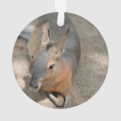 patagonian cavyの動物の休息動物 オーナメント (裏面)