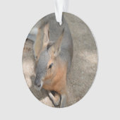 patagonian cavyの動物の休息動物 オーナメント (正面)