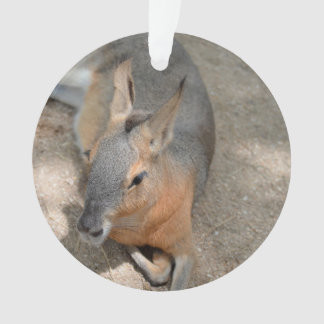 patagonian cavyの動物の休息動物 オーナメント