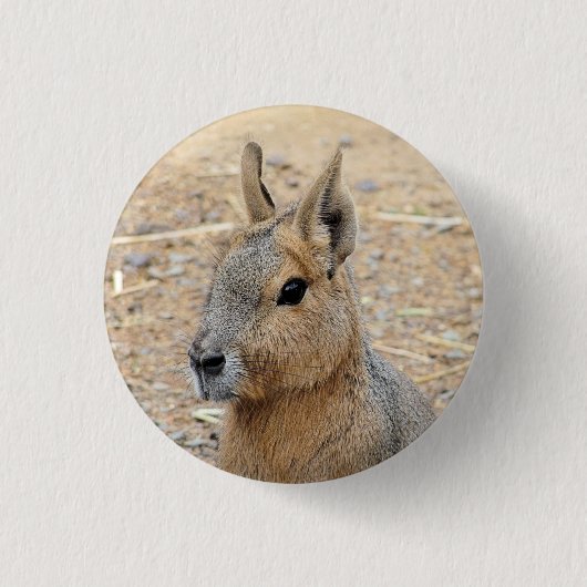 PATAGONIAN MARA 缶バッジ (正面)