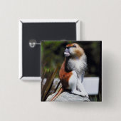 Patas猿 缶バッジ (正面&裏面)