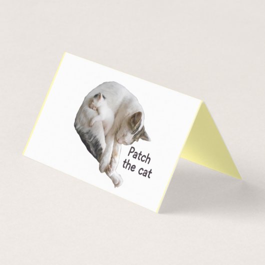 PATCH THE CAT AND HER KITTEN  (正面)