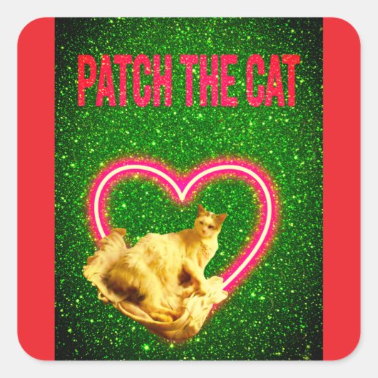 PATCH THE CAT FOR PUSSYCAT LOVERS スクエアシール (正面)