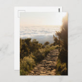 Path above the clouds with golden sunrise, Madeira ポストカード (正面/裏面)