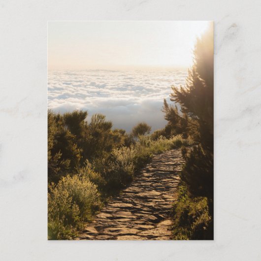 Path above the clouds with golden sunrise, Madeira ポストカード (正面)