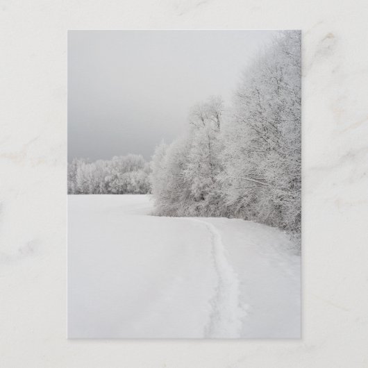 Path in snowy landscape, New Year Holiday Postcard シーズンポストカード (正面)