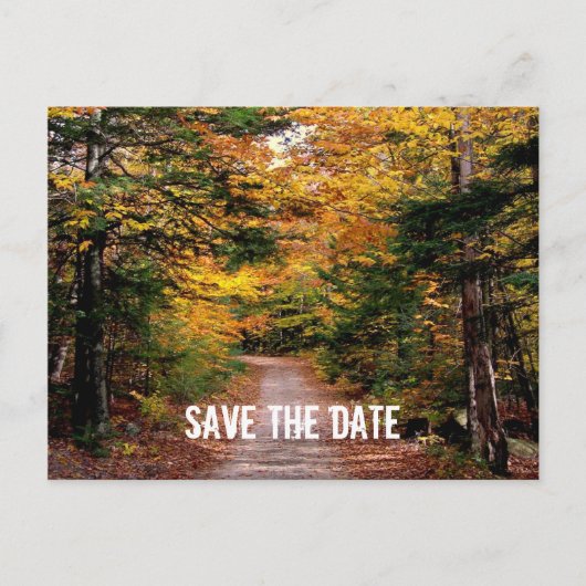 Path in the Woods秋日付の保存 案内ポストカード (正面)