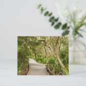 Path, Meritt Island国立野生生物保護区（フロリダ州） ポストカード (スタンド正面)