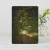 Path through forest シーズンカード (スタンド正面)