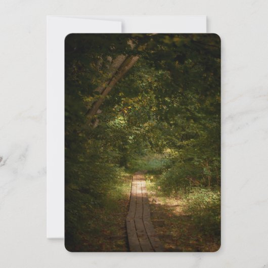 Path through forest シーズンカード (正面)