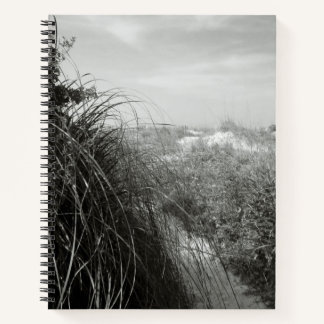 Path Through the Dunes | Rustic Beach Journal ノートブック
