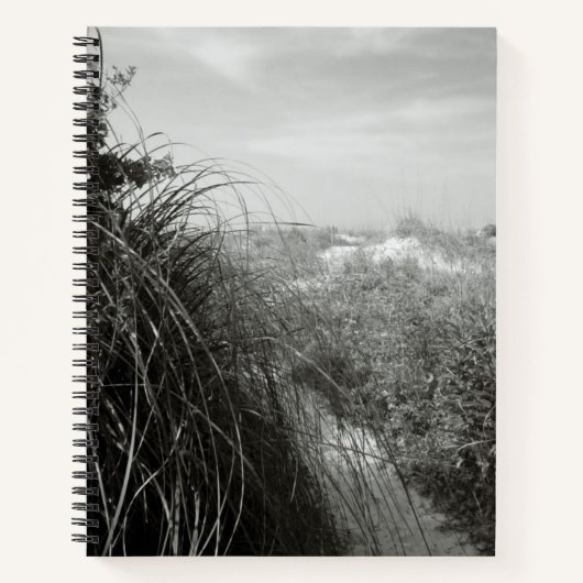 Path Through the Dunes | Rustic Beach Journal ノートブック (正面)