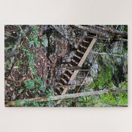 Path Toward the Mirador ジグソーパズル (横)