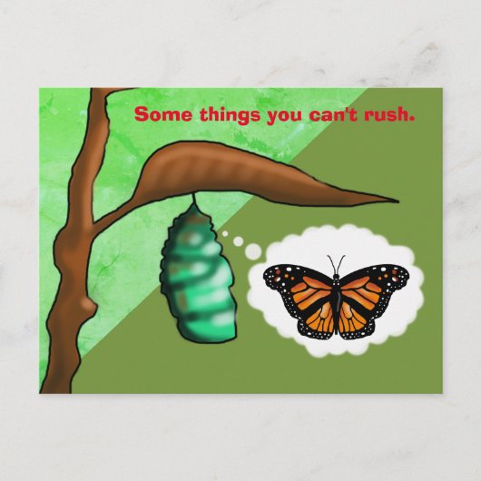PATIENCE BUTTERFLY by Slipperywindow ポストカード (正面)