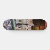 Patineta Dos Gaticos Hermanos Atentos スケートボード (横)