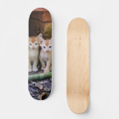 Patineta Dos Gaticos Hermanos Atentos スケートボード (正面)