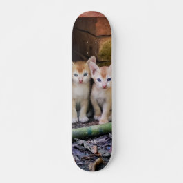 Patineta Dos Gaticos Hermanos Atentos スケートボード