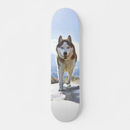 Patineta Enérgico Husky Siberiano Caminando スケートボード