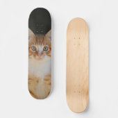 Patineta Gato amarillo Y Blanco Atento スケートボード (正面)