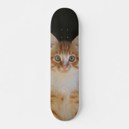 Patineta Gato amarillo Y Blanco Atento スケートボード
