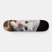 Patineta Gato Blanco Montado En Una Silla スケートボード (横)