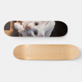 Patineta Gato Blanco Montado En Una Silla スケートボード (横)