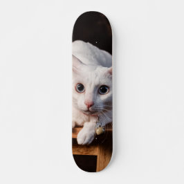 Patineta Gato Blanco Montado En Una Silla スケートボード