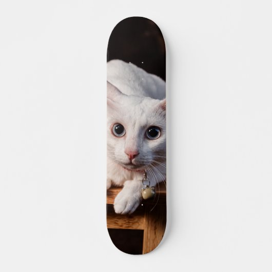 Patineta Gato Blanco Montado En Una Silla スケートボード (正面)