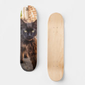 Patineta Gato Negro Caminando Cauteloso スケートボード (正面)