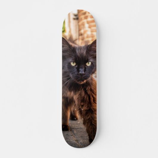 Patineta Gato Negro Caminando Cauteloso スケートボード (正面)