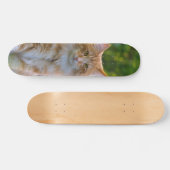 Patineta Gato Peludo Marrón Y Blanco Mirando スケートボード (横)