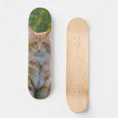 Patineta Gato Peludo Marrón Y Blanco Mirando スケートボード (正面)