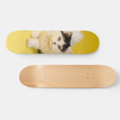 Patineta Gato Persa Caminando スケートボード (横)