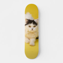 Patineta Gato Persa Caminando スケートボード