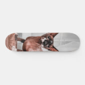 Patineta Gato Raza Esfinge  スケートボード (横)