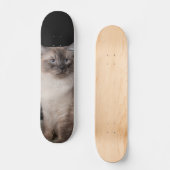 Patineta Gato Siberiano Observando スケートボード (正面)