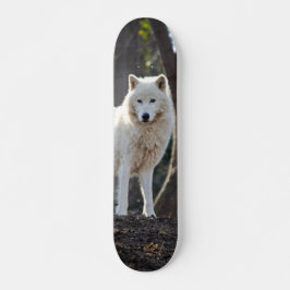 Patineta Lobo Blanco En El Bosque スケートボード