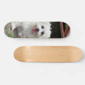 Patineta Perro Pequeño Blanco Y Peludo スケートボード (横)