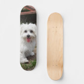 Patineta Perro Pequeño Blanco Y Peludo スケートボード (正面)