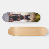 Patineta Perro Pinscher Miniatura Sentado スケートボード (横)