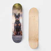 Patineta Perro Pinscher Miniatura Sentado スケートボード (正面)